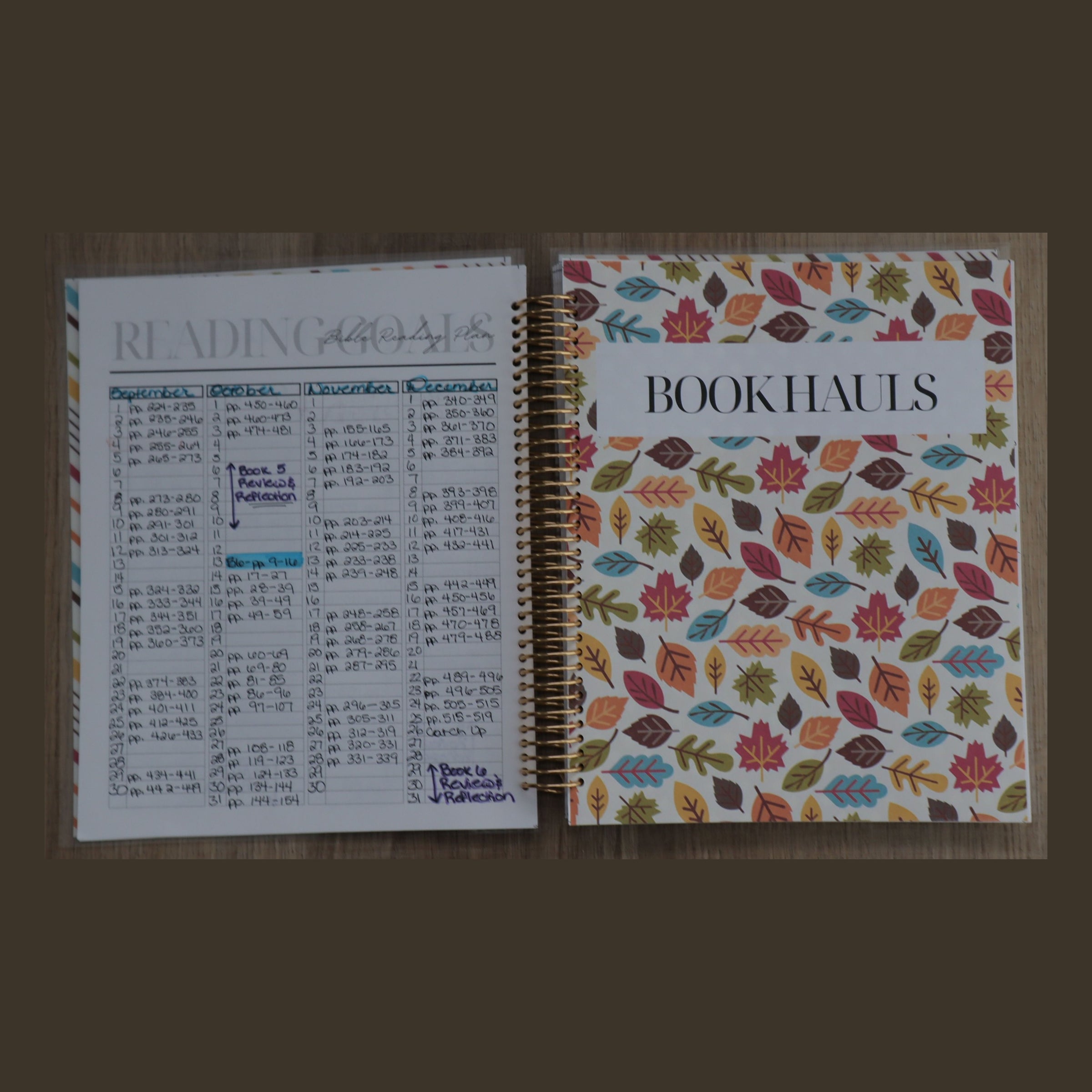 The Bible Study Planner - Undated 2025