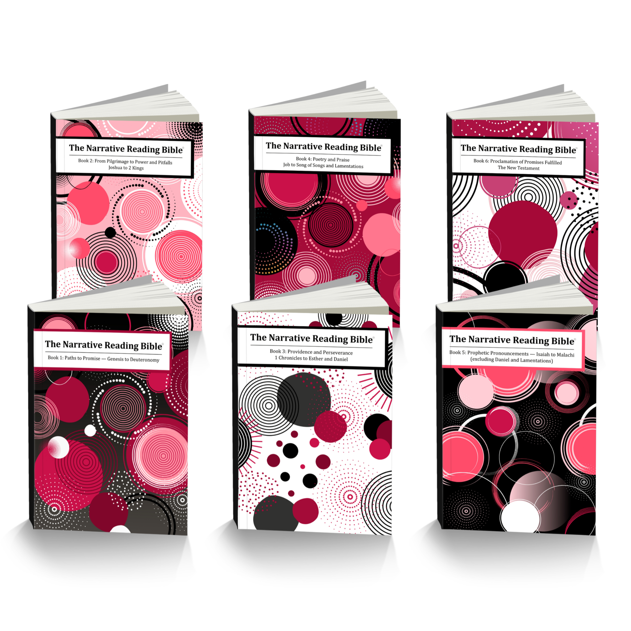 The Narrative Reading Bible Collection